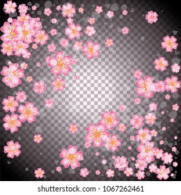Cherry blossom backdrop on transparent background