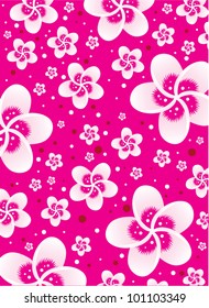 Cherry blossom background