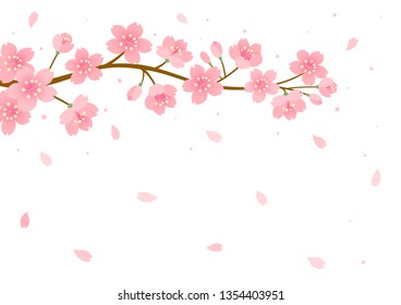 Cherry blossom background