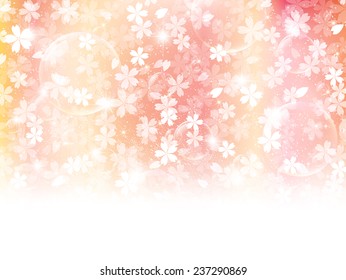 Cherry blossom background