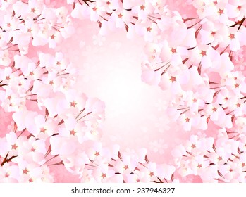 Cherry blossom background