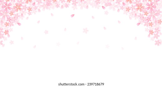 Cherry blossom background