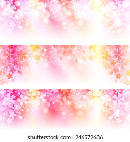 Cherry blossom background