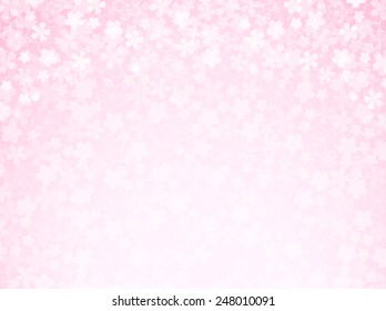 Cherry blossom background