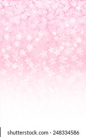  Fondo de flor de cerezo