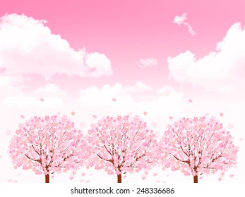 Cherry blossom background