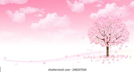 Cherry blossom background