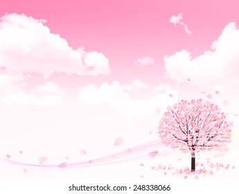 Cherry blossom background