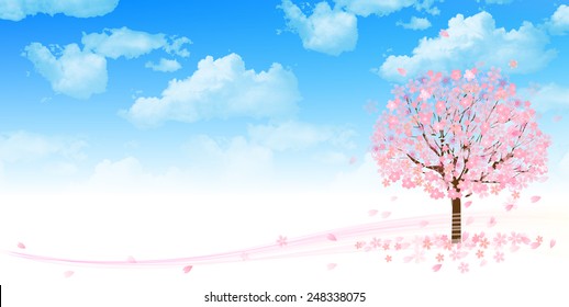 Cherry blossom background