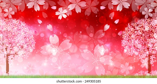 Cherry blossom background