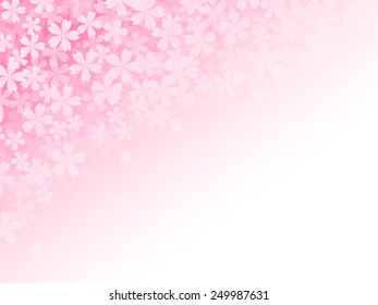 Cherry blossom background
