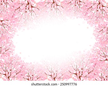 Cherry blossom background