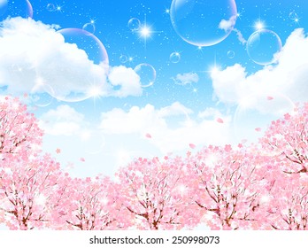 Cherry blossom background