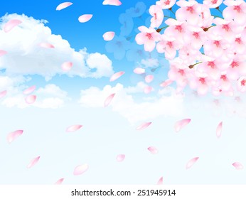 Cherry blossom background