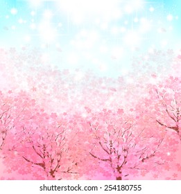  Cherry blossom background