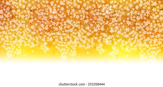  Cherry blossom background