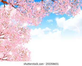 Cherry blossom background