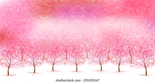 Cherry blossom background