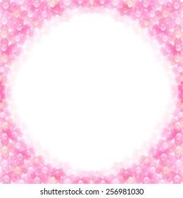 Cherry blossom background