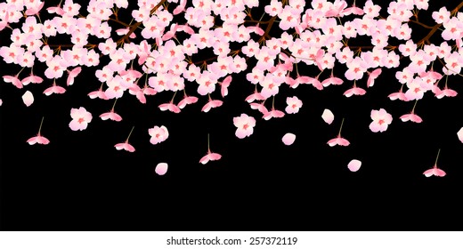 Cherry blossom background