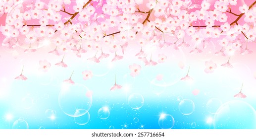  Cherry blossom background 