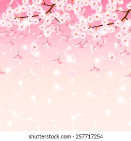 Cherry blossom background 
