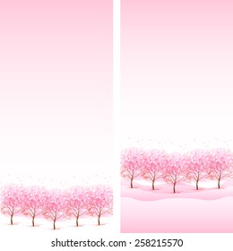  Cherry blossom background