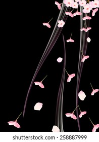  Cherry blossom background 