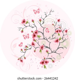 Cherry blossom background