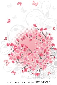 Cherry blossom background