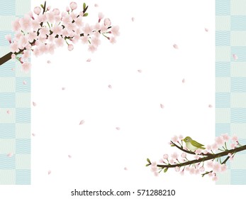Cherry blossom background