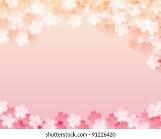 cherry blossom background