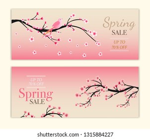 cherry blossom background collections.  