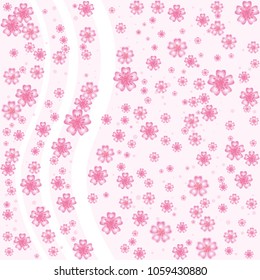 Cherry blossom background isolated on white