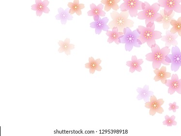Cherry blossom background material