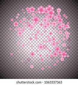 Cherry blossom background on transparent backdrop