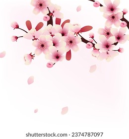 Cherry blossom background with pink petals. Vector illustration.