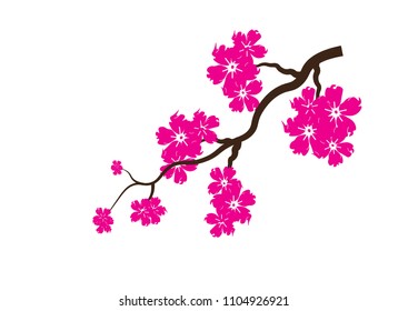 Cherry Blossom Background Sakura Flowers Pink On Branch Flat Vector Illustration.A curved branch with delicate flower and cherry buds.