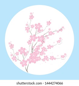 Cherry Blossom Background Sakura Flowers Pink On Branch