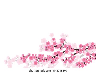 Cherry blossom background. Sakura  pink flowers  background. - Shutterstock ID 543745597