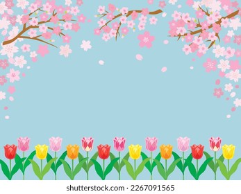 Cherry blossom background with spring flowers and space for your text. Vector illustration.