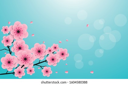 Cherry blossom background  in spring. Vector Illustration