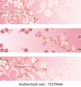 Cherry blossom banner set. Illustration vector.