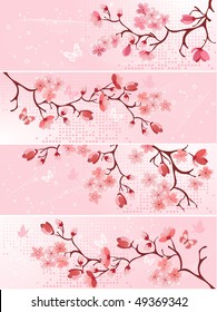 Cherry blossom, banner. Vector illustration