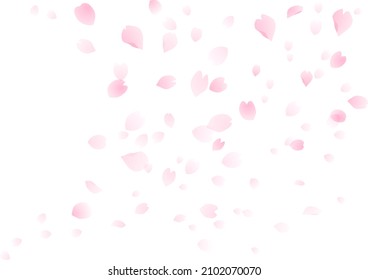 Cherry Blossom Blizzard Background, Cherry Blossom Frame