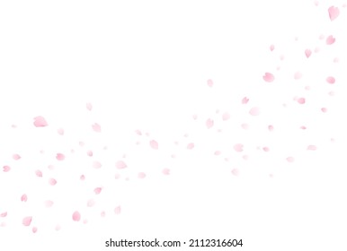 Cherry Blossom Blizzard Background, Cherry Blossom Frame