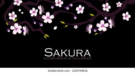 Cherry Blossom. Blooming Sakura Branches with Flowers, Bods, Petals. Vector illustration