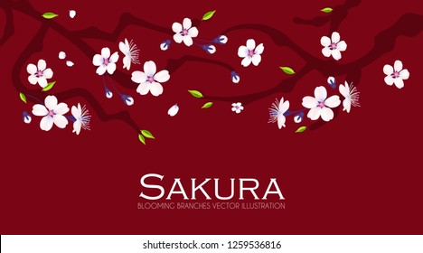 Cherry Blossom. Blooming Sakura Branches with Flowers, Bods, Petals. Vector illustration