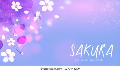 Cherry Blossom. Blooming Sakura Branches with Flowers. Bods, Petals and Bokeh Effect. Vector illustration