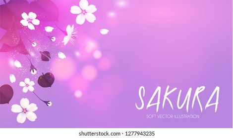 Cherry Blossom. Blooming Sakura Branches with Flowers. Bods, Petals and Bokeh Effect. Vector illustration